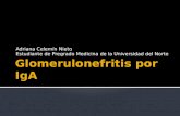 Glomerulonefritis por IgA
