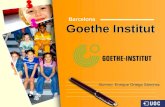 Implementacion de Moodle en el Instituto Goethe