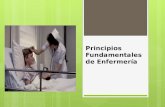 Principios fundamentales de enfermería