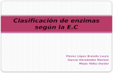 Clasificación de enzimas según la E