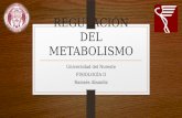 Fisiología - Regulación del Metabolismo (Nutrición)