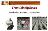 Tres Disciplinas