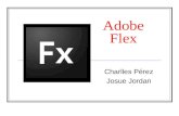 Adobe flex