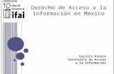 Derecho de acceso a la información en méxico