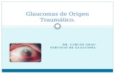 Glaucomas de origen traumatico