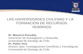 Postgrado y Doctorado en Chile-Usach