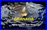 Granada Agua Oculta Que Llora (Car)