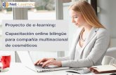 Proyecto de e-learning: Capacitación online bilingüe para compañía multinacional