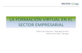 Formación virtual en el sector empresarial