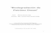 6437940 Bacterias Degradadoras de Petroleo