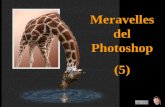 1986 Meravelles Del Photoshop 5