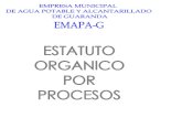 Estructura Organizacional Por Procesos y Funciones