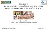 Unidad 1. Desarrollo Cognitivo-La Mediacion Pedagogica II-UPN283