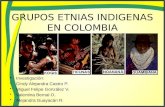 Diapositivas indigenas en colombia (1)
