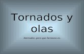 Tornados, Olas, Rayos Y Calma (Can) (Con MúSica De Hevia)