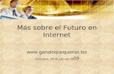 Más Sobre El Futuro En Internet