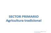 Sector Primario Agricultura De Subsistencia