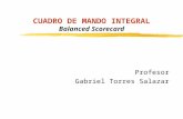 Gabriel Torres, Cmi