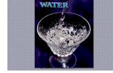 Agua - Water