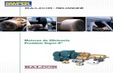 Motores Eficiencia Premium BALDOR (w.rodamientos-samper.com.Mx)
