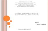 MÓDULO INSTRUCCIONAL - Perfil Profesional del Gerente Educativo