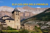 Els Colors Dels Pirineus