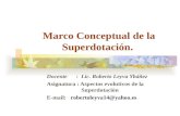 Marco  Conceptual De La  SuperdotacióN
