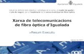 Xarxa de telecomunicacions de fibra òptica d’Igualada. Resum executiu