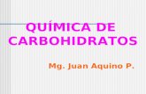 QUIMICA CARBOHIDRATOS-presentacion