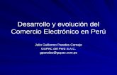 Desarrollo y evolucion del Comercio Electronico en Peru.pptx