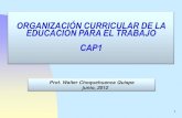 E07 01 organización curric. de la ed. para el trabajo cap1