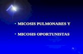 26 micosis pulmonar
