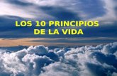 10 principios