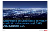 2013 abb service presentation (servicios leap)