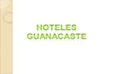 2 Hoteles Guanacaste