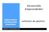 Desarrollo Emprendedor: software de gestión