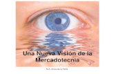Mkt Vision Toluca