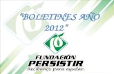 Fundacion persistir Boletines año-2012