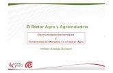 Sector agro