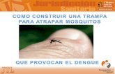 Trampa para mosquitos dengue