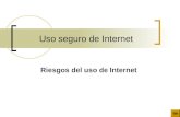 Uso seguro de internet 2009   riesgos
