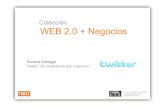Neo Consulting: Web 2.0 +Negocios Twitter