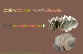 Cn   rochas sedimentares - quimiogénicas e biogénicas