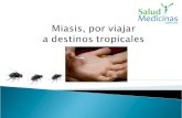 Miasis: enfermedad parasitaria causada por larvas de mosca