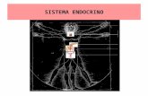 Sistema endocrino 3-1