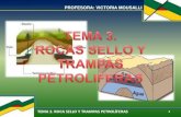 Tema 4 Trampa Petroliferas y Roca Sello