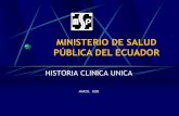 Historia Clinica Unica MSP