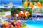 Ecosistemas acuatico