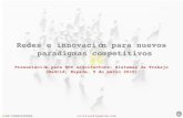 Redes e Innovacion Para Nuevos Paradigmas Competitivos
