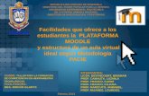 Plataforma moodle y facilidades para los estudiantes, Aulas Virtuales